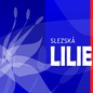 Vykvete Slezská Lilie?